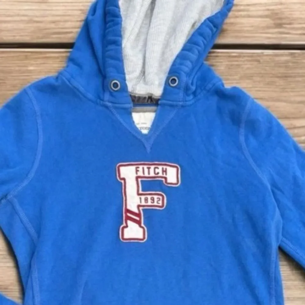 Y2K Abercrombie & Fitch Blue Logo Pullover Hoodie Mens size Medium